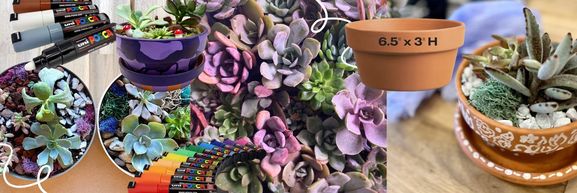 Terrarium Workshop for the Dogs - June 5