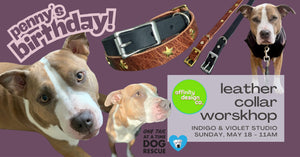Leather Collar Workshop - May 18