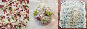 Bundle Dye Workshop with Ms. Amy Taylor - Sunday, Sept. 29 - indigo & violet studio LLC