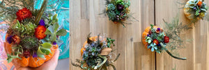 Succulent Pumpkin Workshop - Oct. 29